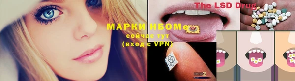 амф Аркадак