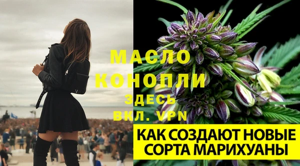 амф Аркадак