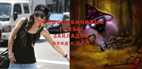 амф Аркадак
