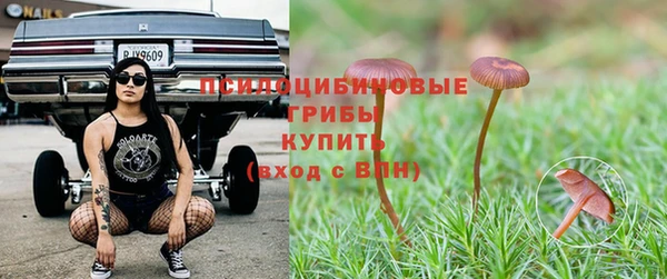 эйфоретик Армянск