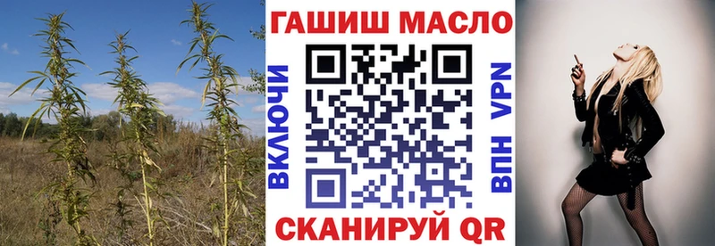 цена Бологое Дистиллят ТГК THC oil