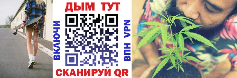 Канабис планчик  Бологое 